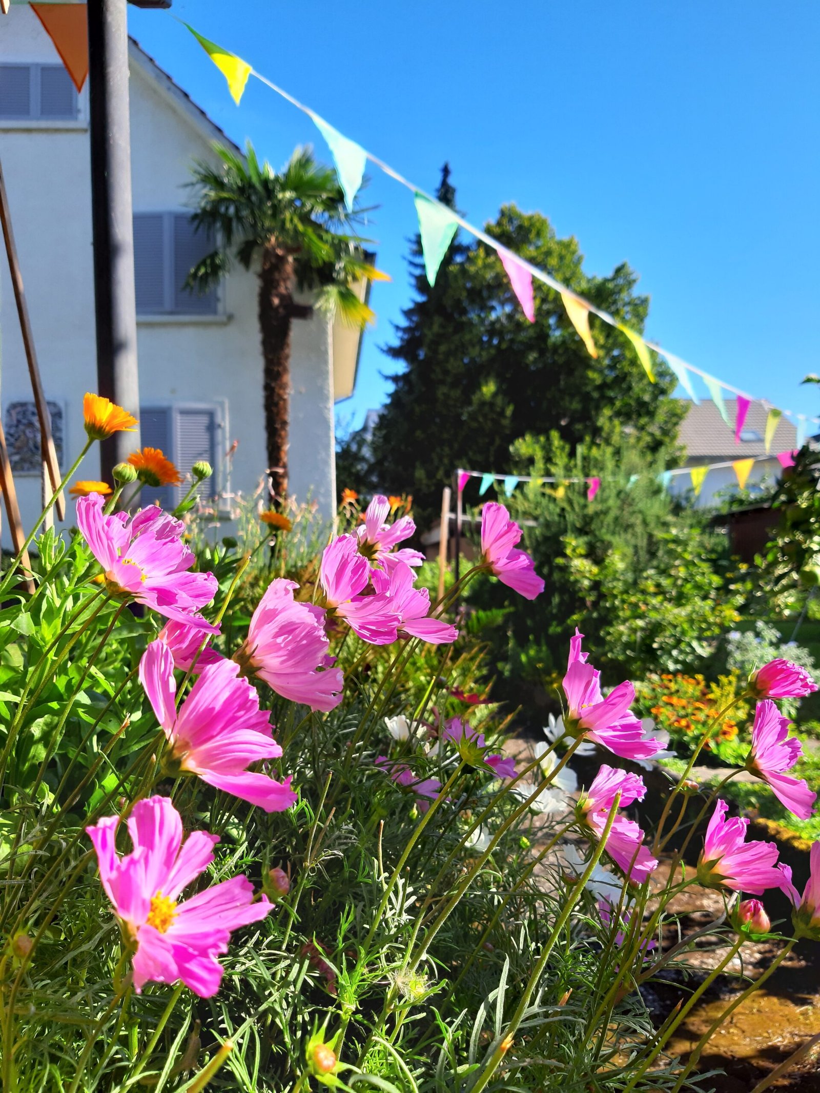 Naturgarten des B&B Kalimera mit Apfelbäumen