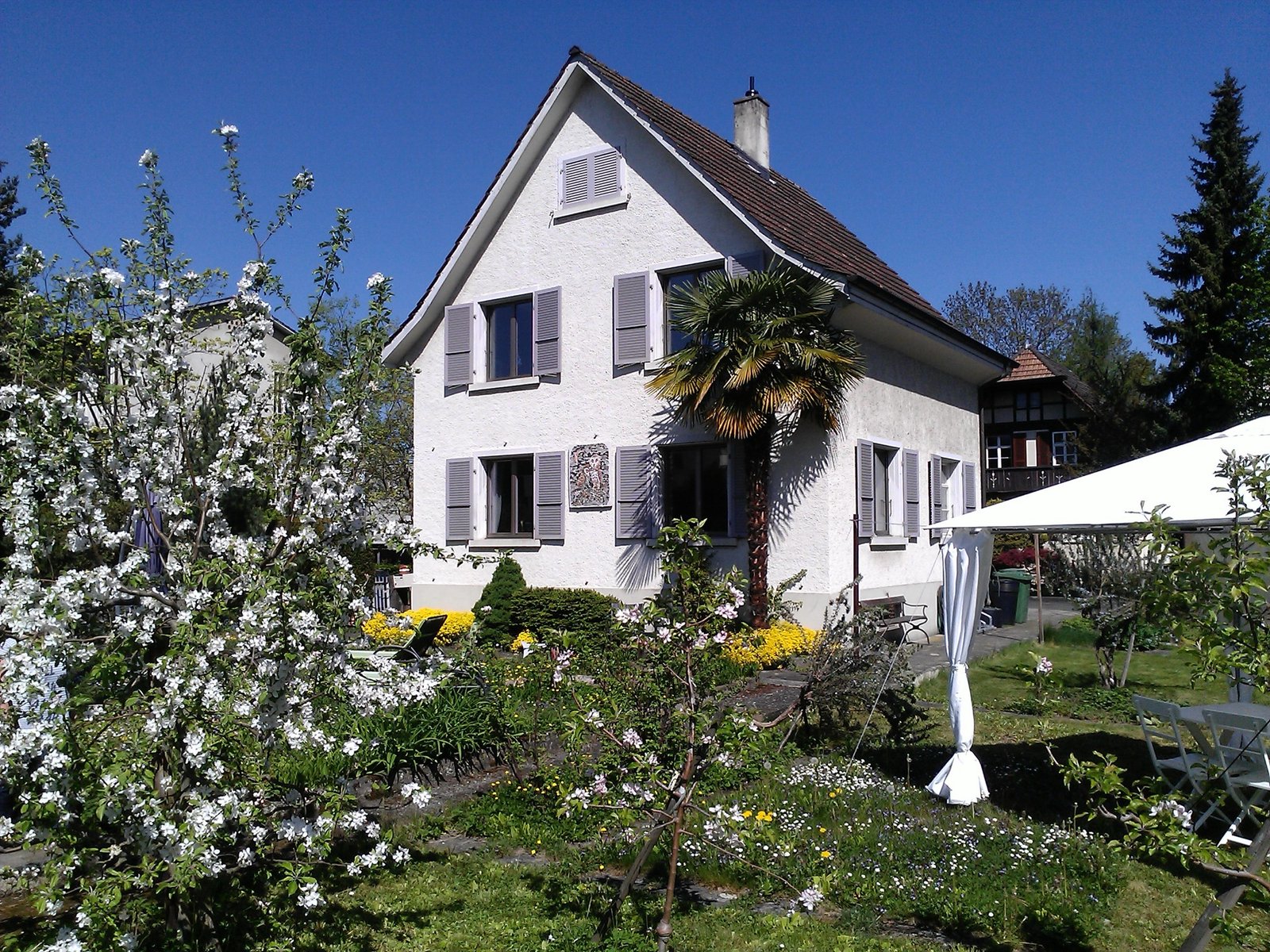 B&B Kalimera Wohnhaus mit Garten, Palme und blühenden Apfelbäumen im Frühling